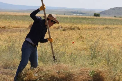 çiftçiler günü mesajı dünya çiftçiler günü ne zaman 14 mayıs çiftçiler günü mesajı çiftçiler günü mesajları dünya çiftçiler günü mesajları