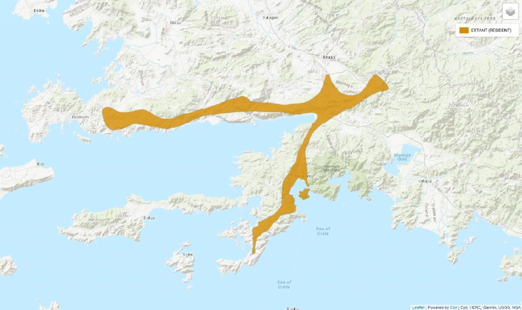 marmaris semenderi