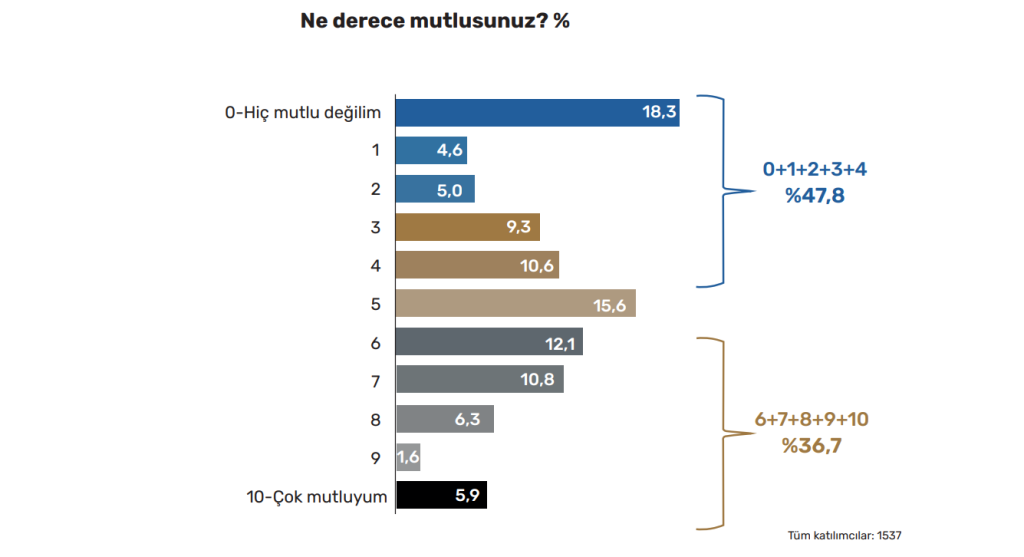 muğla planlama ajansı gençlik raporu gençler umutsuz