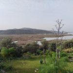 milas yakamoz yat limanı, milas çekek yeri projesi, milas yakamoz yat limanı çekek yeri projesi, muçep milas, milas kıyıkışlacık