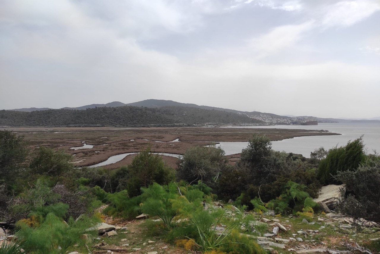 milas yakamoz yat limanı, milas çekek yeri projesi, milas yakamoz yat limanı çekek yeri projesi, muçep milas, milas kıyıkışlacık