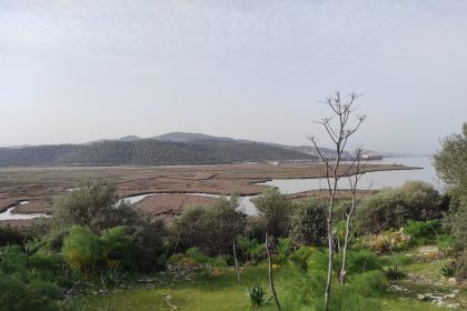 milas yakamoz yat limanı, milas çekek yeri projesi, milas yakamoz yat limanı çekek yeri projesi, muçep milas, milas kıyıkışlacık