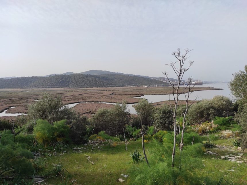 milas yakamoz yat limanı, milas çekek yeri projesi, milas yakamoz yat limanı çekek yeri projesi, muçep milas, milas kıyıkışlacık