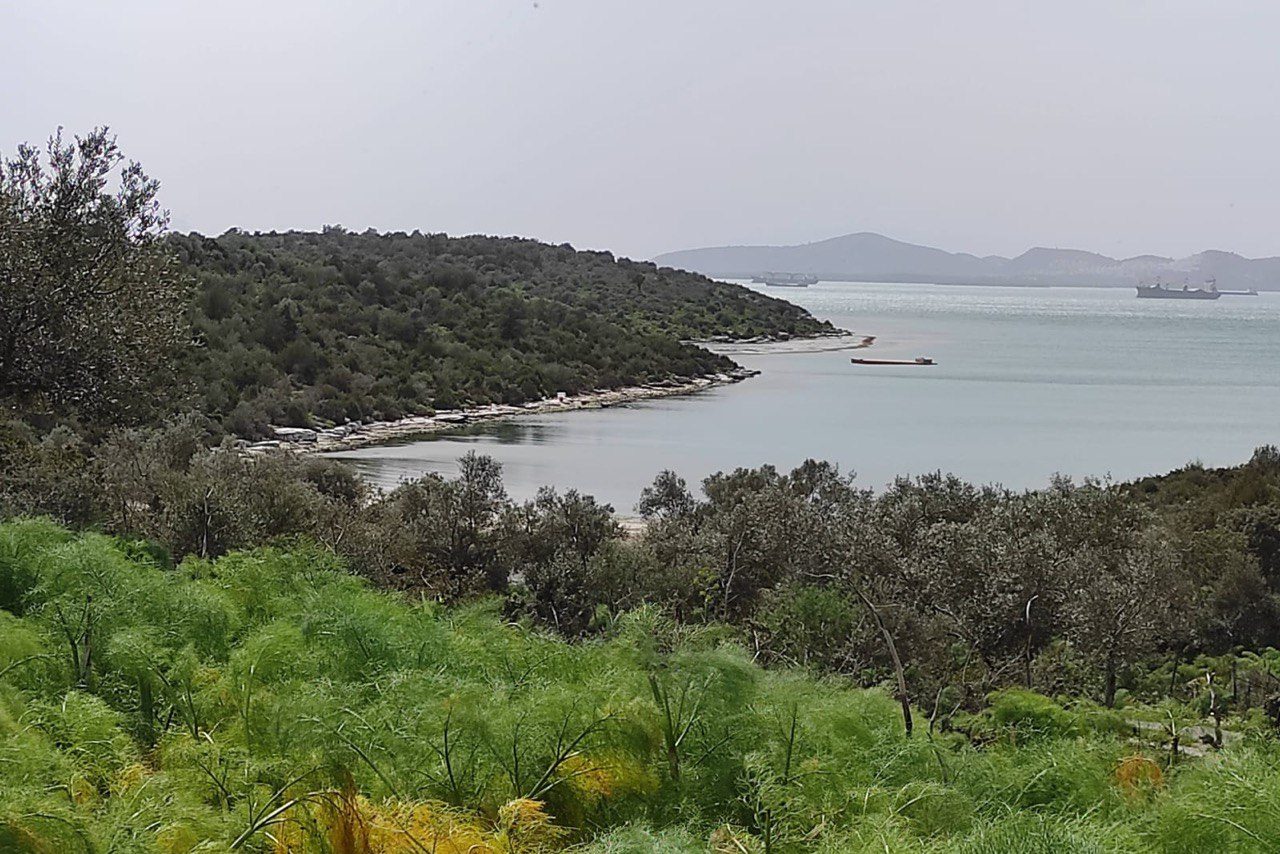milas yakamoz yat limanı, milas çekek yeri projesi, milas yakamoz yat limanı çekek yeri projesi, muçep milas, milas kıyıkışlacık