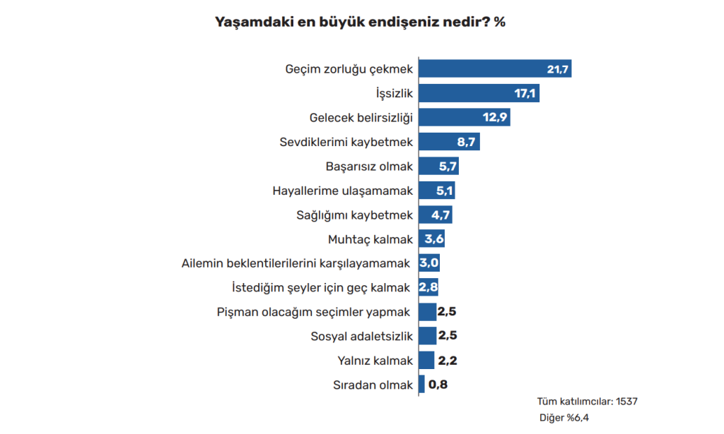 muğla planlama ajansı gençlik raporu gençler umutsuz