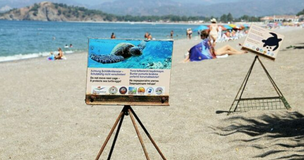 fethiye çalış kampumbağa kulübesi, ali ihsan emre, ulaş kiper, fethiye ali ihsan emre kaplumbağa