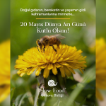 slow food, slow food gökova birliği, 20 mayıs, 20 mayıs dünya arı günü, slow food gökova birliği 20 mayıs
