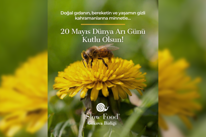 slow food, slow food gökova birliği, 20 mayıs, 20 mayıs dünya arı günü, slow food gökova birliği 20 mayıs