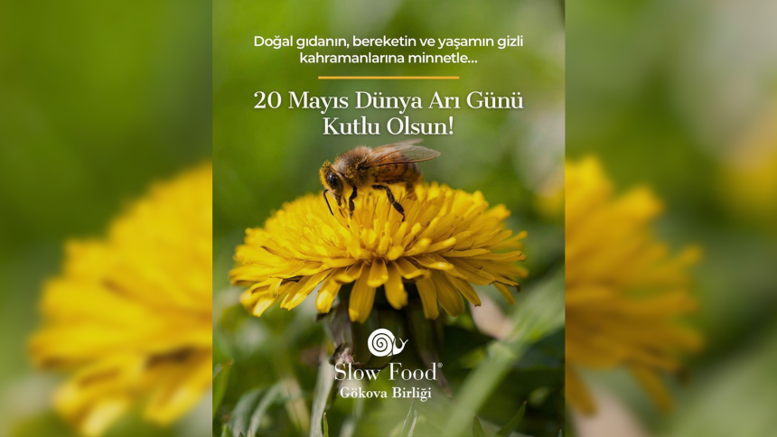 slow food, slow food gökova birliği, 20 mayıs, 20 mayıs dünya arı günü, slow food gökova birliği 20 mayıs