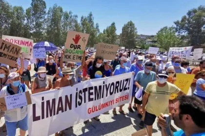 CHP Muğla Milletvekili Gizem Özcan açıklama, İasos Antik Kenti