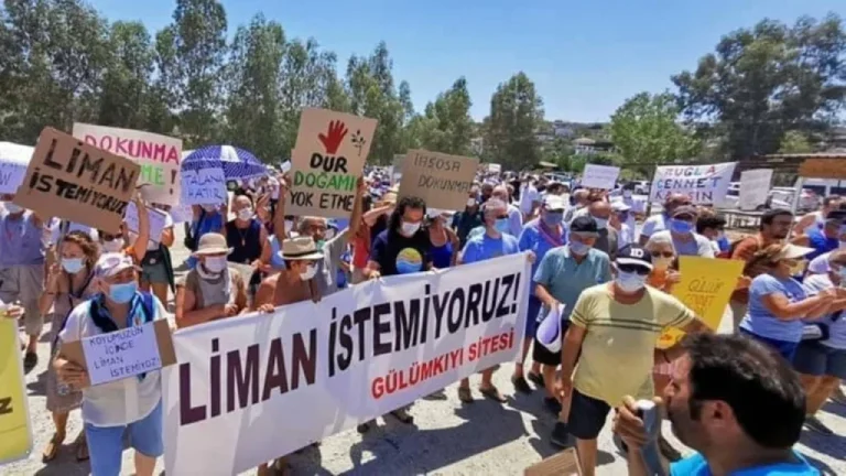 CHP Muğla Milletvekili Gizem Özcan açıklama, İasos Antik Kenti