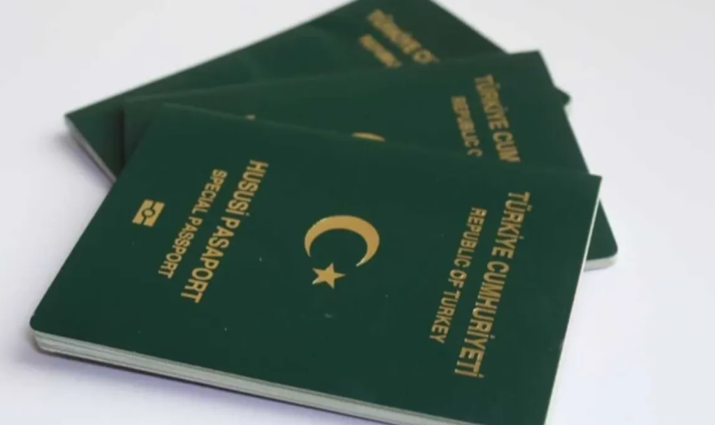 yeşil pasaport, mali müşavirlere yeşil pasaport, mali müşavirlere yeşil pasaport kanun teklifi, mali müşavir, mali müşavir yeşil pasaport