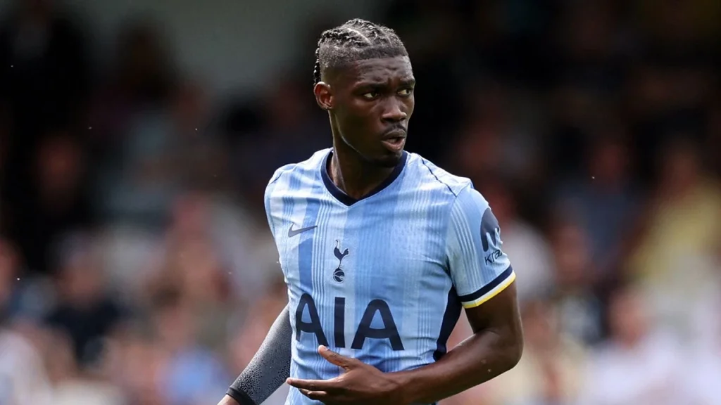 bissouma transfer
fenerbahçe transfer
bissouma fenerbahçe
tottenham
bissouma