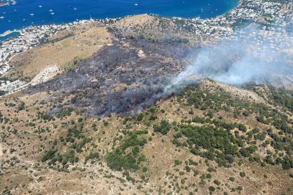 bodrum yangın, bodrum türkbükü yangın, bodrum, bodrumdaki yangında gözaltı, bodrumdaki yangınla ilgili bir kişi gözaltına alındı