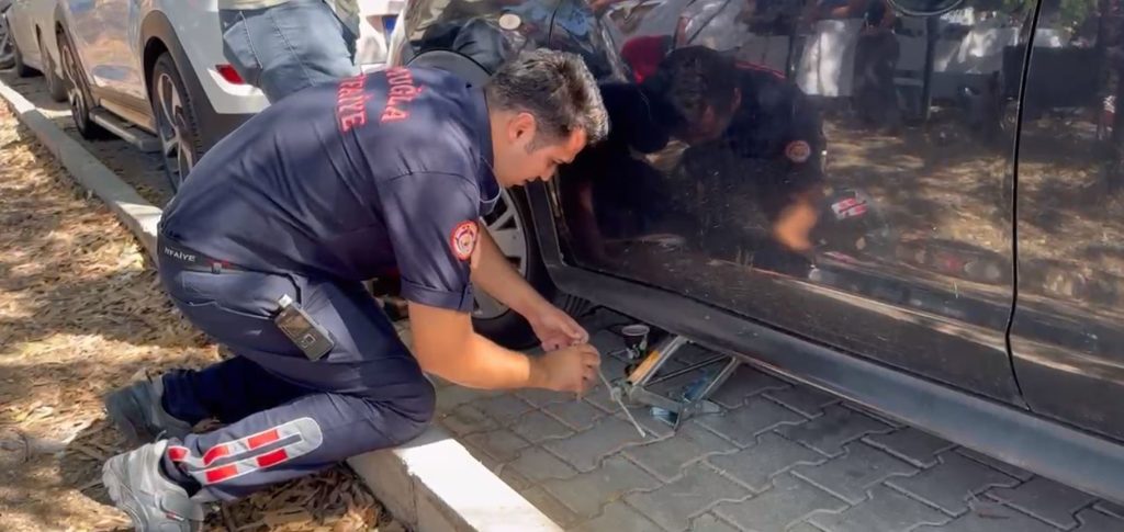 fethiye kedi, fethiyede otomobile sıkışan yavru kedi, fethiye, fethiye yavru kedi, otomobile sıkışan yavru kedi