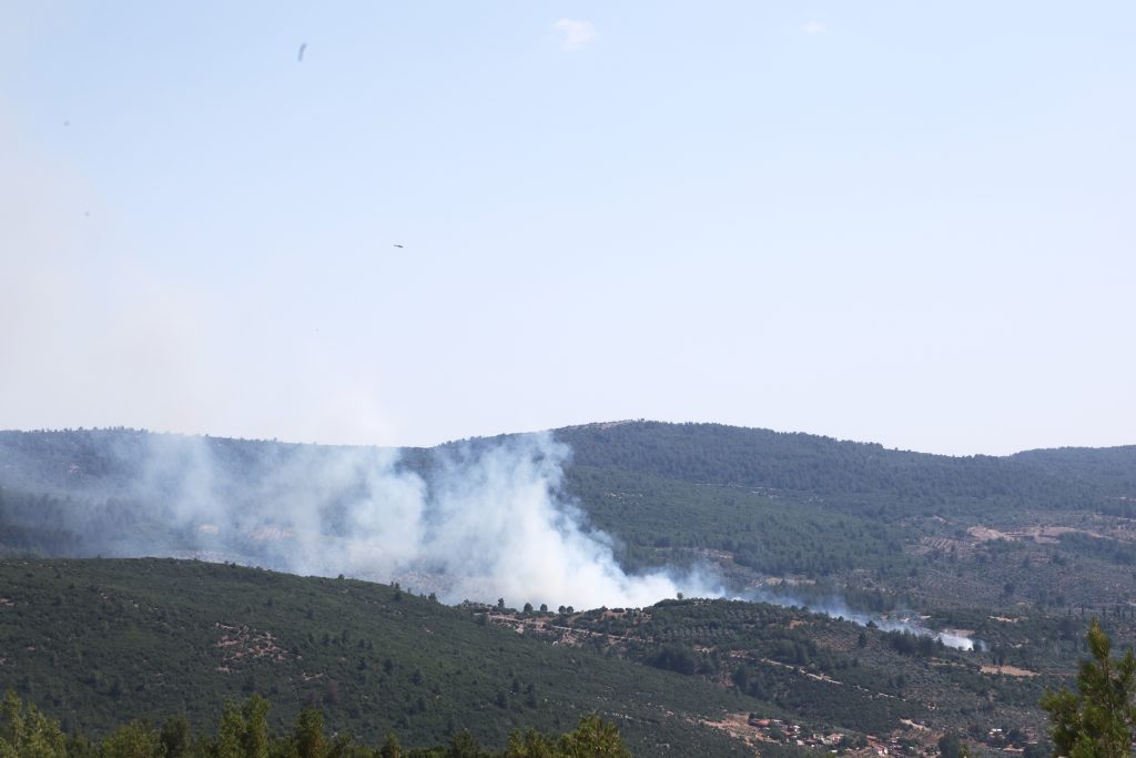 menteşe yangın, menteşe zeytinlik alanda yangın, menteşe zeytinlik alan, muğla yangın, muğla zeytinlik alanda yangın