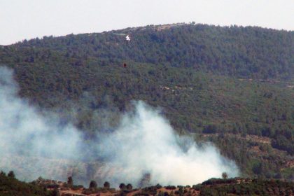 menteşe yangın, menteşe zeytinlik alanda yangın, menteşe zeytinlik alan, muğla yangın, muğla zeytinlik alanda yangın