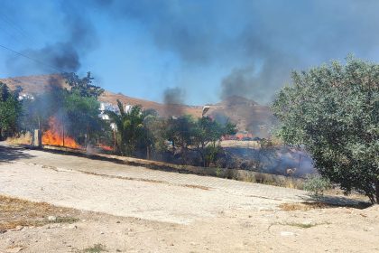 bodrum yangın, bodrumda yangın, bodrum otluk alanda yangın, bodrum, yangın