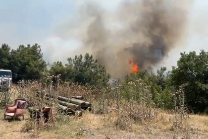 bilecik yangın son durum sakarya yangın orman yangını taraklı orman yangını eskişehir yangın