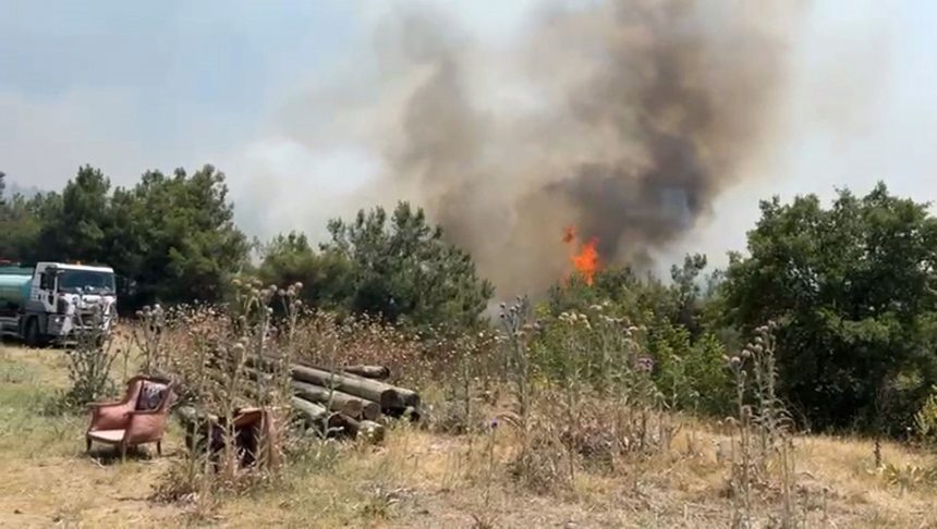 bilecik yangın son durum sakarya yangın orman yangını taraklı orman yangını eskişehir yangın