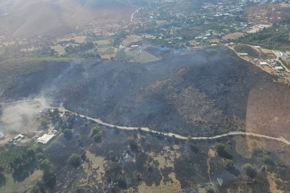 bodrum yangın, bodrum, bodrum makilik alanda yangın, bodrum islamhaneleri mahallesi, bodrum islamhaneleri mahallesinde yangın