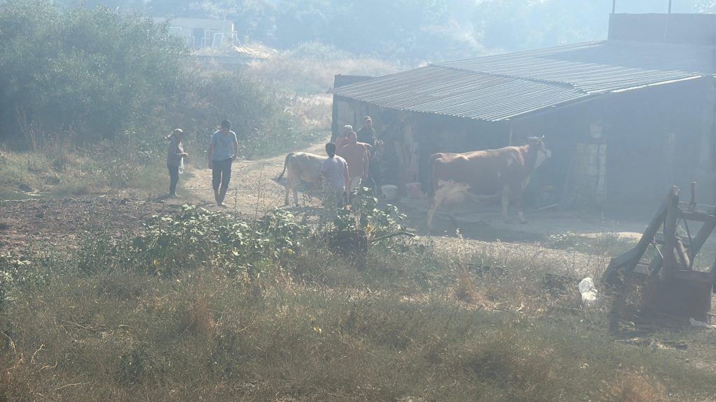 bodrum yangın, bodrum, bodrum makilik alanda yangın, bodrum islamhaneleri mahallesi, bodrum islamhaneleri mahallesinde yangın