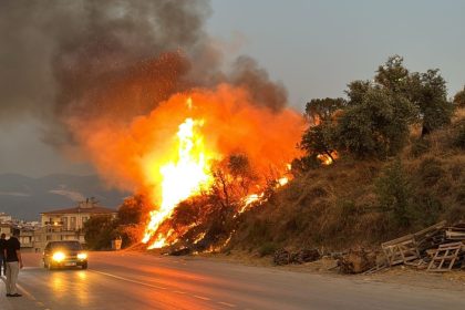 milas yangın, milasta yangın, milas düğün konvoyu, milas düğün, milas