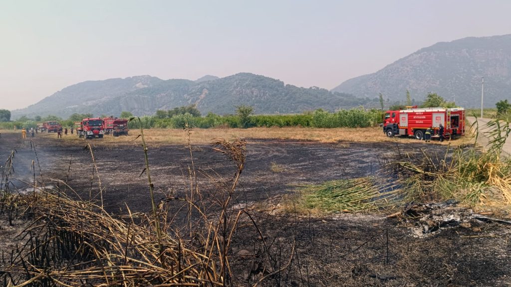 ortaca yangın, ortaca, sarıgerme yolu, ortaca sarıgerme yolu, ortaca sazlık yangını