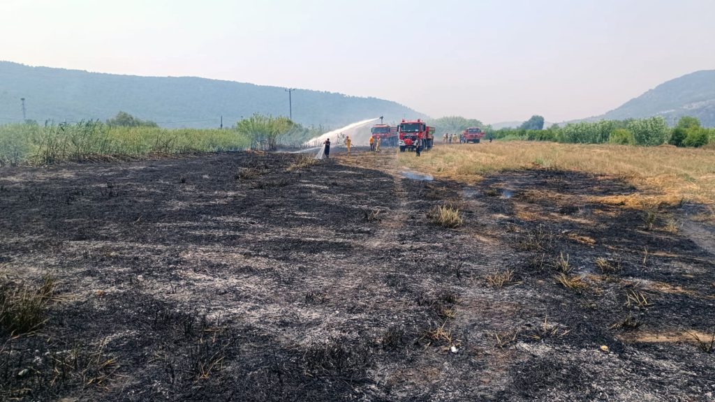 ortaca yangın, ortaca, sarıgerme yolu, ortaca sarıgerme yolu, ortaca sazlık yangını