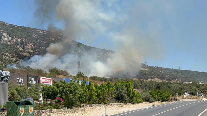 bodrum yangın, bodrum alışveriş merkezi, bodrum ortakent mahallesi, bodrum, bodrumda yangın