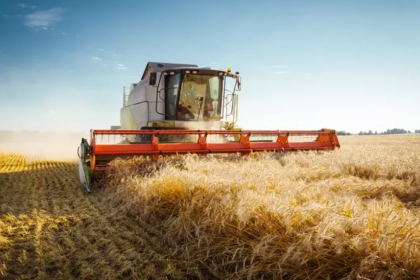 tarımsal desteleme ödemeleri mazot ve gübre desteği tarımsal destek ödemesi buzağı desteği çiftçi destek ödemesi