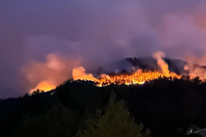 bilecik orman yangını son dakika bilecik orman yangını gölpazarı yangın son dakika yangın son dakika sakarya orman yangını