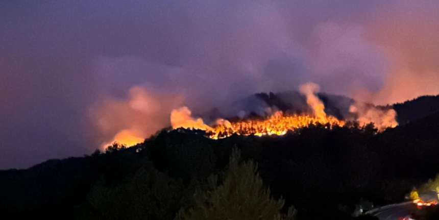 bilecik orman yangını son dakika bilecik orman yangını gölpazarı yangın son dakika yangın son dakika sakarya orman yangını