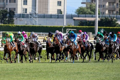 gazi koşusu nerede, gazi koşusu 2025 atlar, gazi koşusu saat kaçta, gazi koşusu ne zaman, veliefendi hipodromu