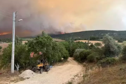 Etiketler: bilecik yangın son durum, bilecik yangini son dakika, sakarya'da yangın, sakarya son dakik, bilecik yangın