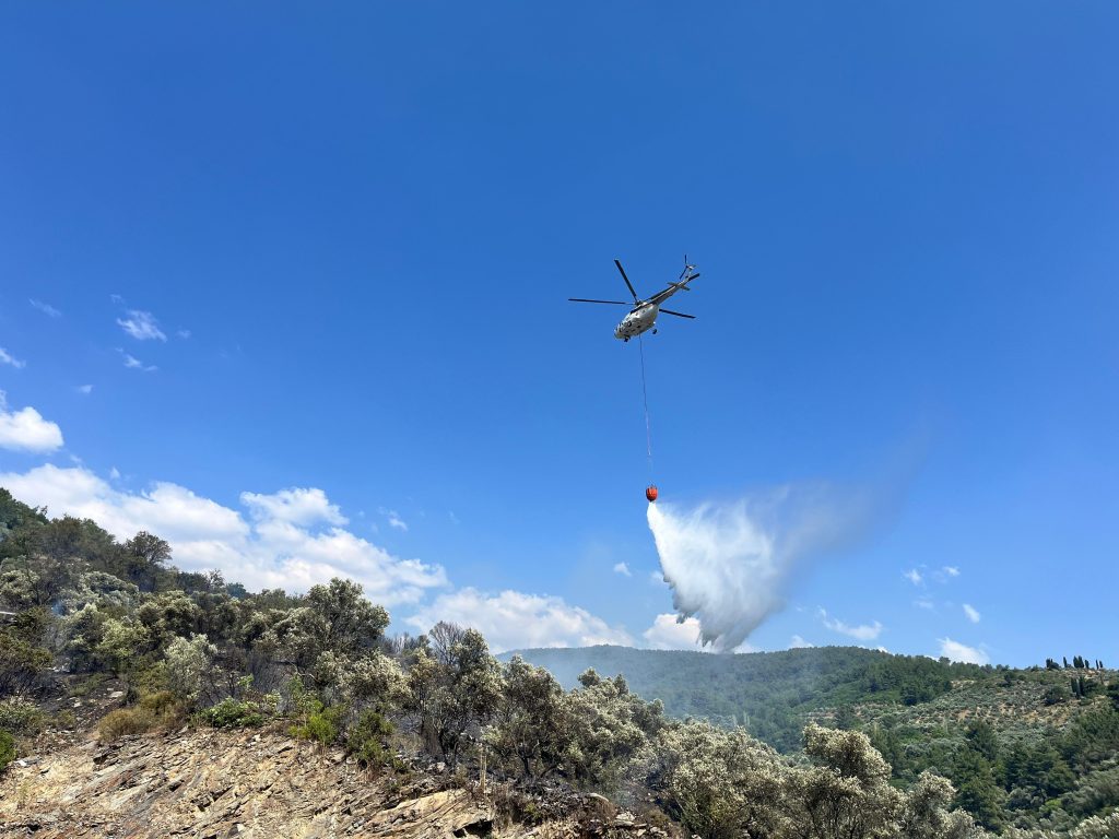 menteşe yangın, menteşe belediye başkanı, gonca köksal, menteşe zeytinlik, menteşe zeytinlik alan