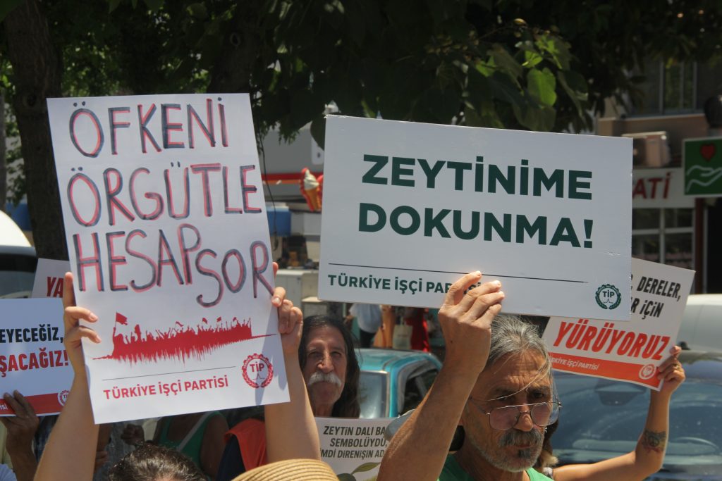 zeytinlik kanun teklifi, fethiye, torba yasa zeytinlik, zeytinlik torba yasa, kanun teklifi zeytinlik