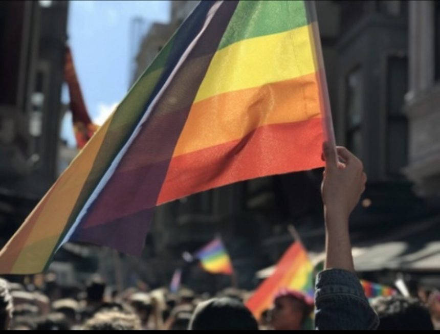 onu haftası, muğla pride