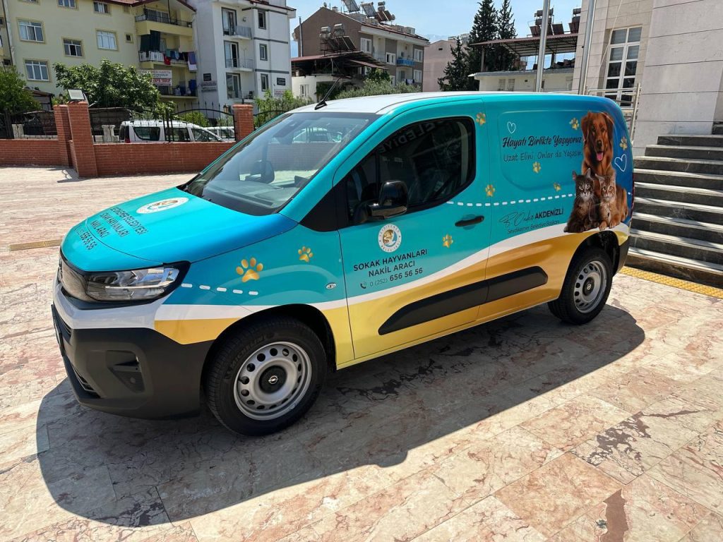bayram önder akdenizli sokak hayvanları seydikemer sokak hayvanları