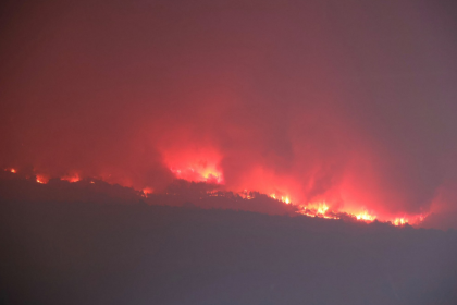 bilecik yangın son durum sakarya yangın orman yangını taraklı orman yangını eskişehir yangın