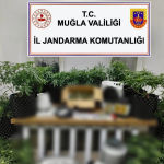 bodrum uyuşturucu operasyonu