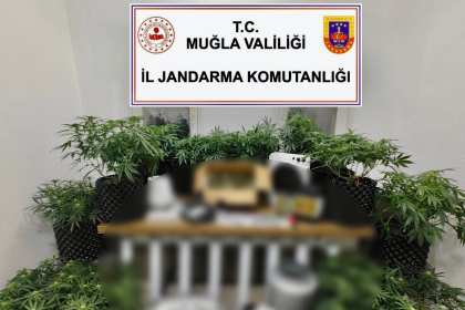 bodrum uyuşturucu operasyonu