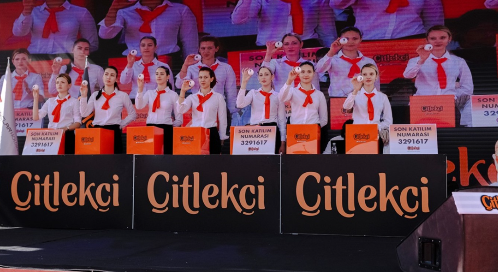 çitlekçi togg çekiliş sonuçları, çitlekçi togg çekilişi sonuçları 2025, çitlekçi çekiliş sonuçları sorgulama, çitlekçi togg çekilişi, togg çitlekçi çekiliş sonuçları sorgulama