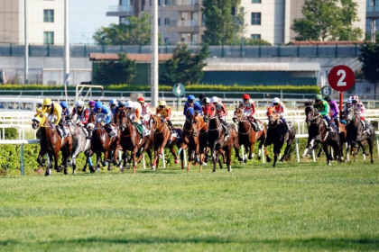 gazi koşusu 2025 kim kazandı, ahmet çelik jokey, cutha, ahmet çelik, 99. gazi koşusu