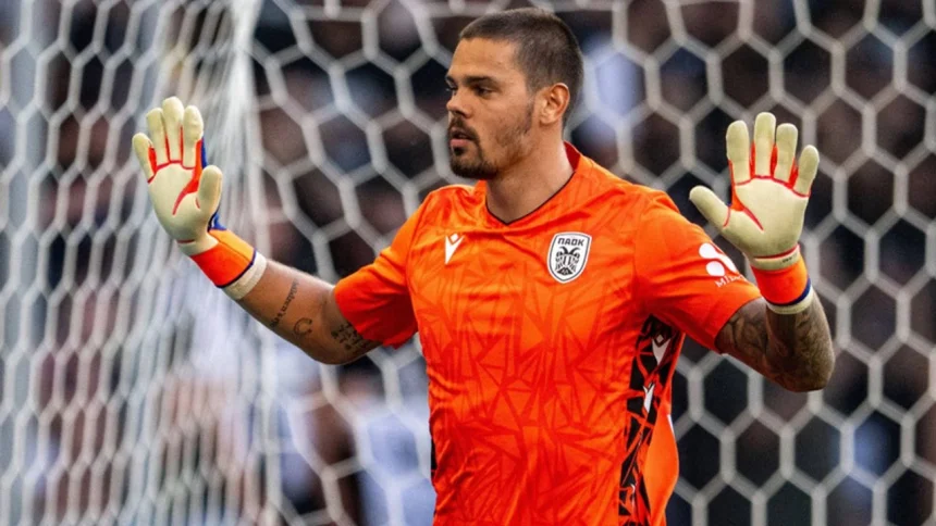dominik kotarski kotarski galatasaray galatasaray transfer dominik kotarski transfer dominik kotarski galatasaray