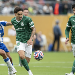 palmeiras botafogo, palmeiras botafogo ne zaman, palmeiras botafogo hangi kanalda, palmeiras botafogo maçı saat kaçta, palmeiras botafogo maç kadrosu