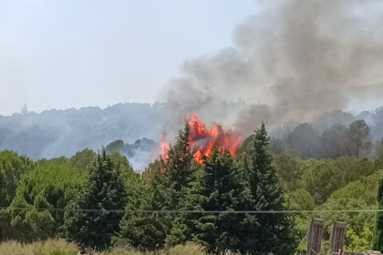 izmir bornova yangın izmir yangın bornova yangın son dakika izmir'de yangın bornova izmir bornova yangın