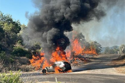 milas, milas kıyıkışlacık, milas yangın, milas otomobil yangını, milas orman yangını
