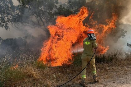 orman işçileri, orman işçilerinin çalışma koşulları, orman yangını, orman yangınına müdahale işçisi orman işçisi çalışma