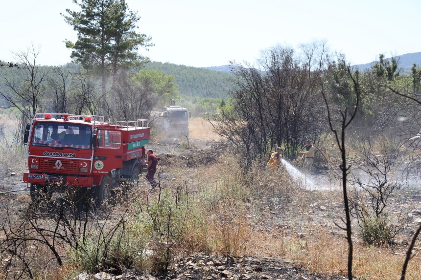 milas yangın, milas çamköy mahallesi yangın, milas çamköy mahallesi yangın, milas çamköy mahallesi, çamköy mahallesi milas, milas zirai alan yangın
